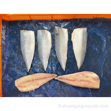 Exportation de fruits de mer Frozen Mackerel Filet Prix Poisson